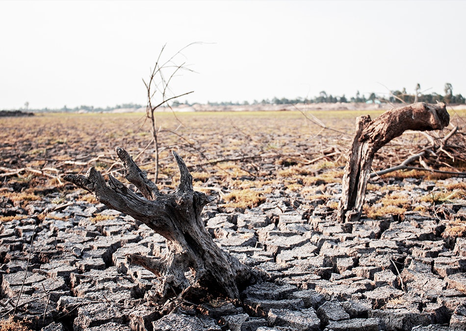 Climate Change Impact on Retirement